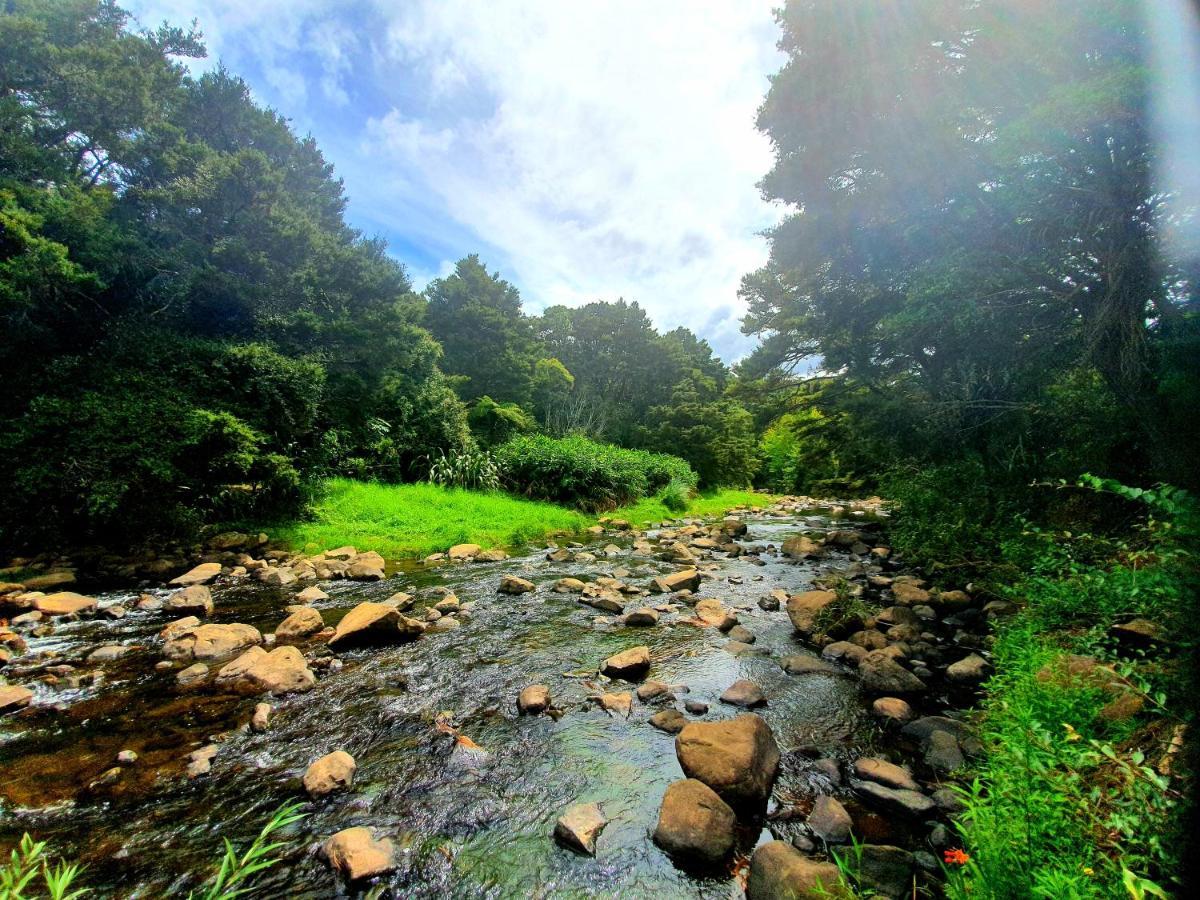 Kauri Coast Top 10 Holiday Park Kaihu Εξωτερικό φωτογραφία